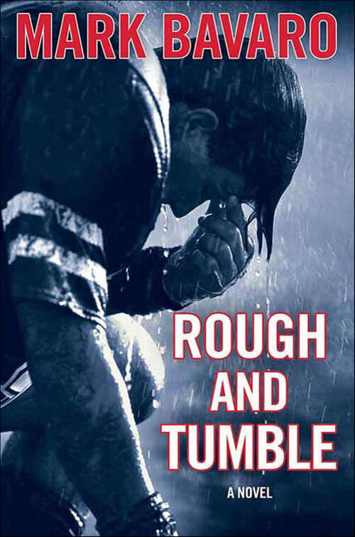 Book cover of Rough and Tumble: A Novel