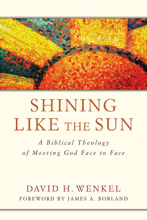 Book cover of Shining Like the Sun: A Biblical Theology of Meeting God Face to Face