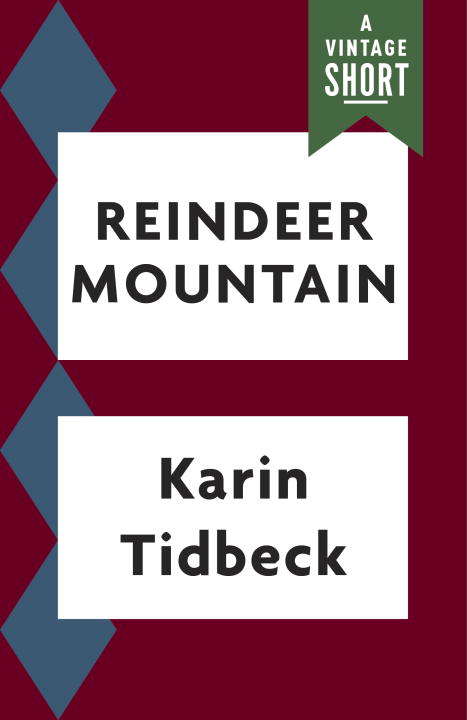 Book cover of Reindeer Mountain: A Story