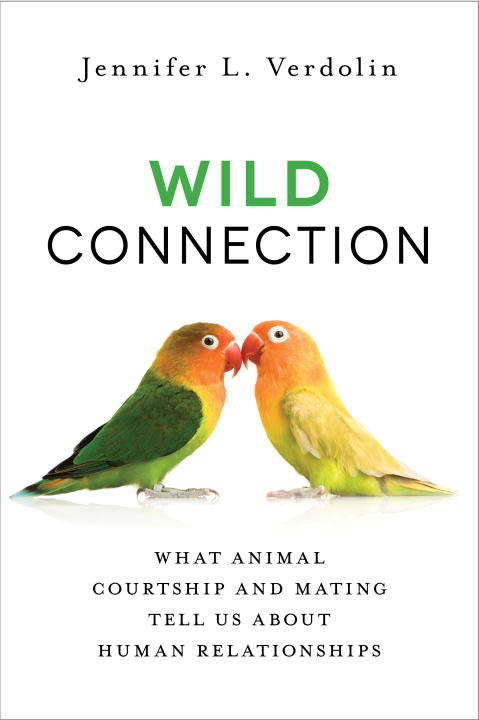 Book cover of Wild Connection