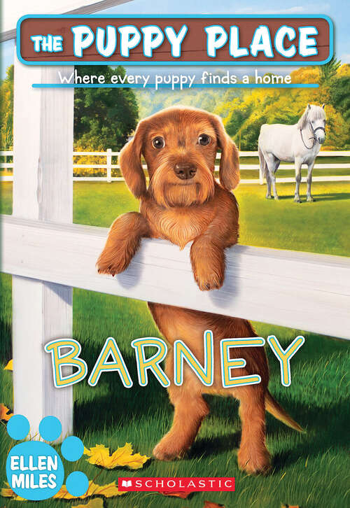 Book cover of Barney (The Puppy Place #57)