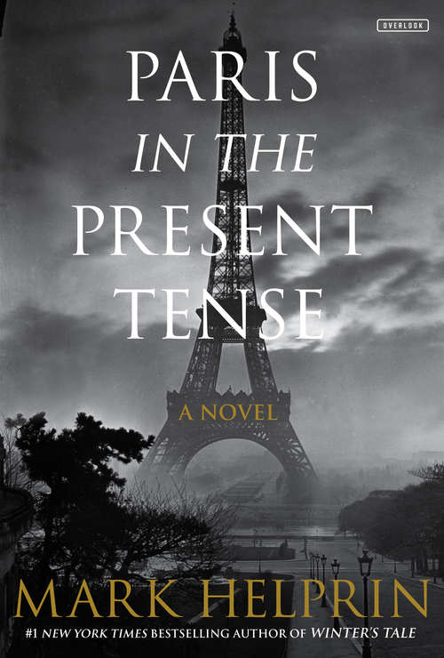 Book cover of Paris in the Present Tense: A Novel