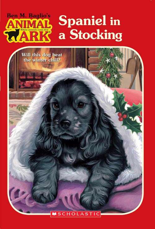 Book cover of Spaniel in a Stocking (Animal Ark #49)