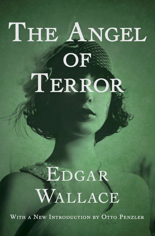 Book cover of The Angel of Terror