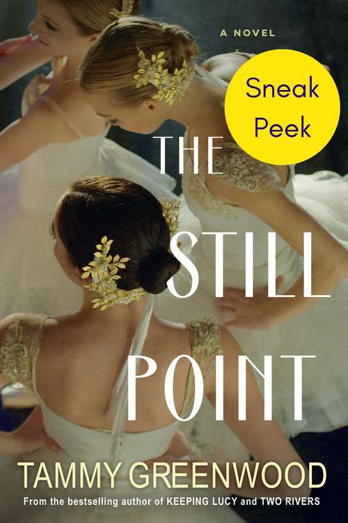 Book cover of The Still Point: Sneak Peek