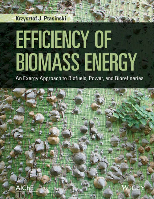 Book cover of Efficiency of Biomass Energy: An Exergy Approach to Biofuels, Power, and Biorefineries