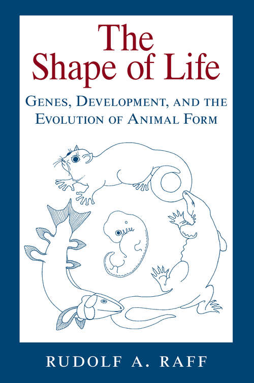 Book cover of The Shape of Life: Genes, Development, and the Evolution of Animal Form