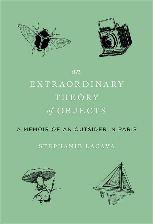 Book cover of Extraordinary Theory of Objects: A Memoir of an Outsider in Paris