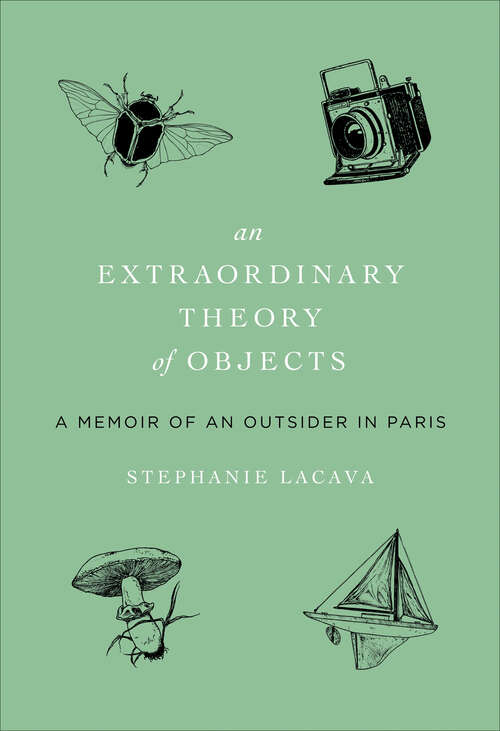 Book cover of An Extraordinary Theory of Objects: A Memoir of an Outsider in Paris