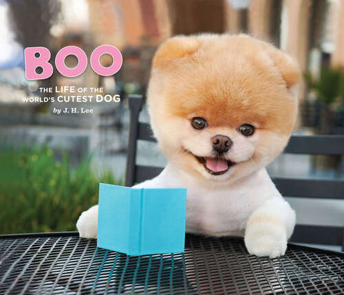Book cover of Boo