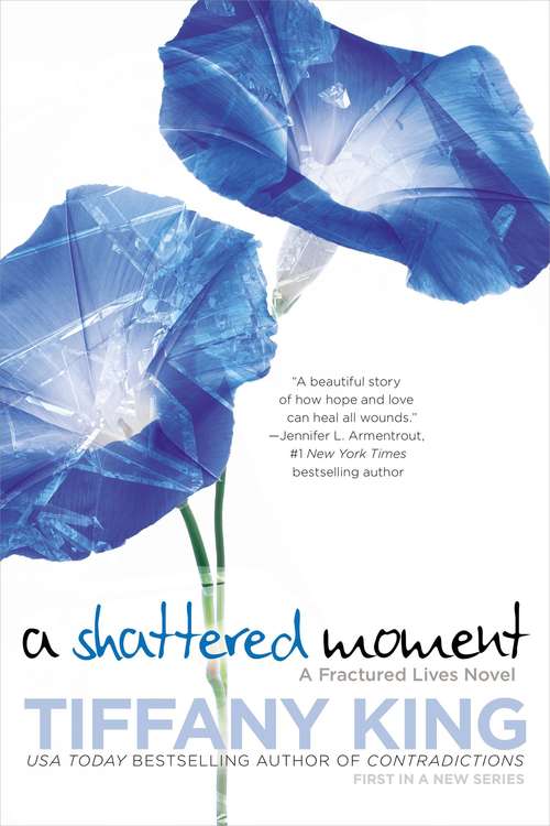 Book cover of A Shattered Moment