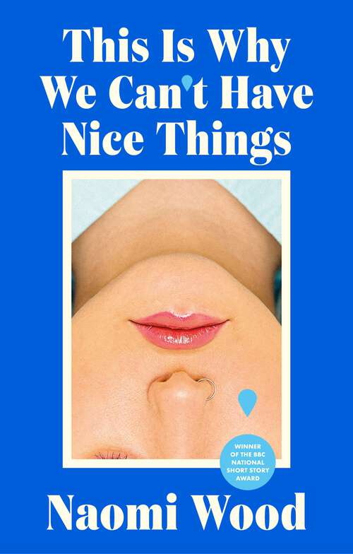 Book cover of This Is Why We Can't Have Nice Things: Winner of the 2023 BBC National Short Story Award