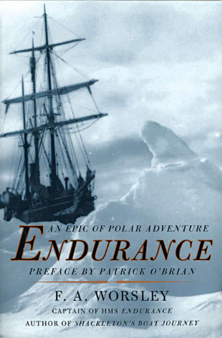 Book cover of Endurance