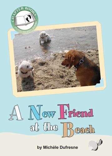 Book cover of A New Friend At The Beach