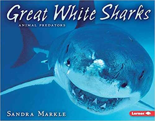 Great White Sharks (Animal Predators Series)