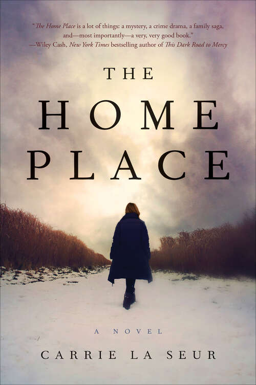 Book cover of The Home Place