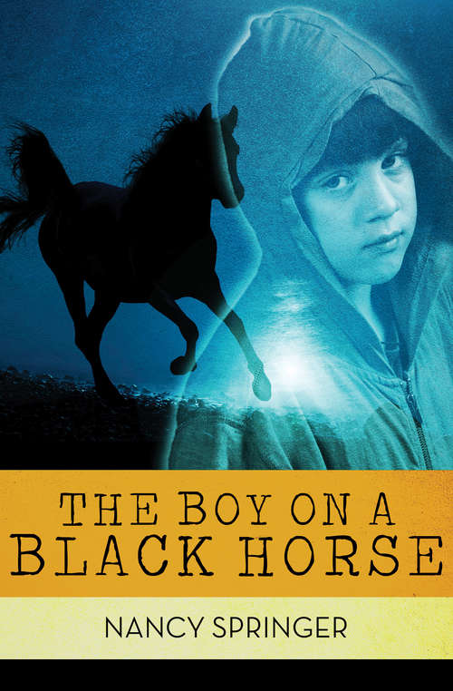 Book cover of The Boy on a Black Horse