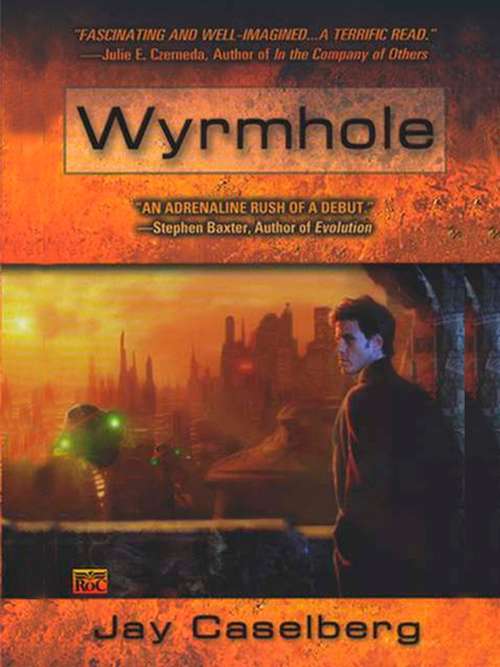 Book cover of Wyrmhole