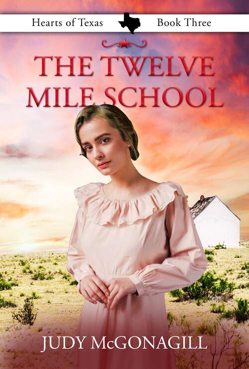 Book cover of The Twelve Mile School (Hearts of Texas #3)