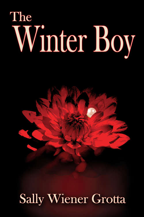 Book cover of The Winter Boy