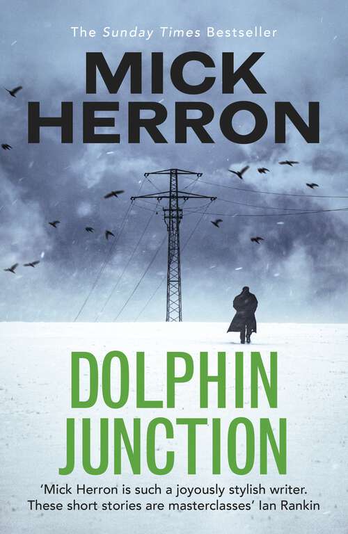 Book cover of Dolphin Junction