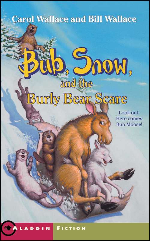 Book cover of Bub, Snow, and the Burly Bear Scare