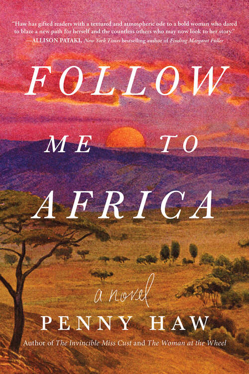 Book cover of Follow Me to Africa: A Novel