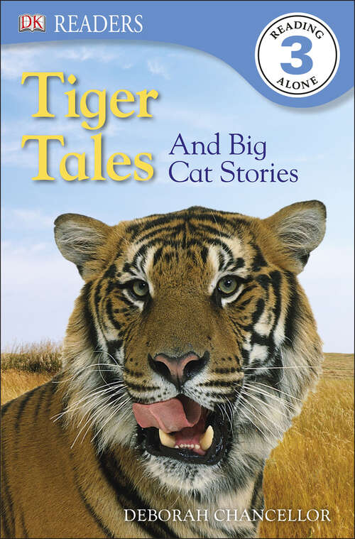 Book cover of DK Readers L3: And Big Cat Stories (DK Readers Level 3)