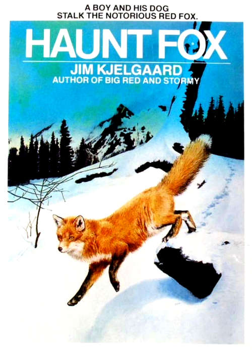 Book cover of Haunt Fox (A Bantam-Skylark Book)