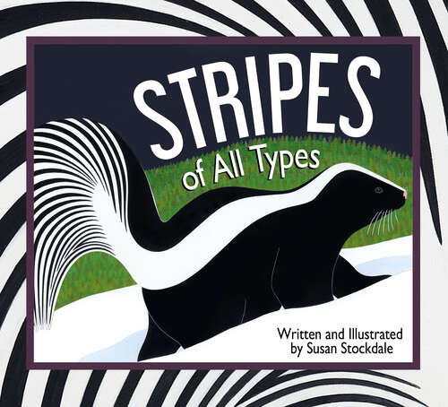 Book cover of Stripes of All Types