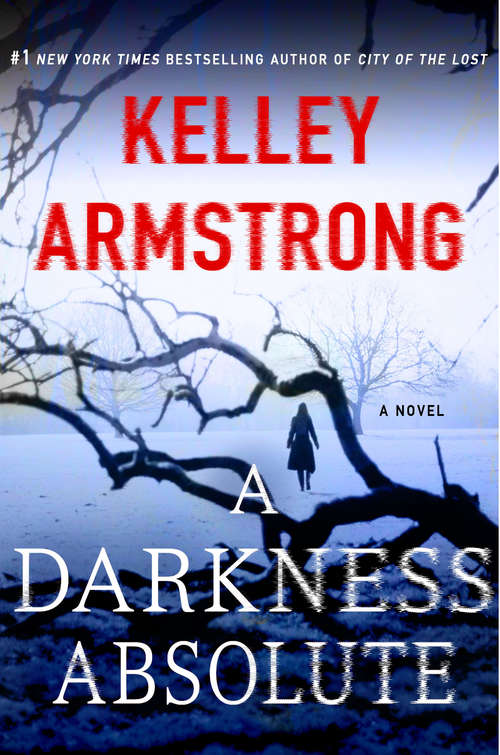 Book cover of A Darkness Absolute: A Novel