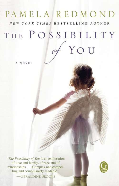 Book cover of The Possibility of You