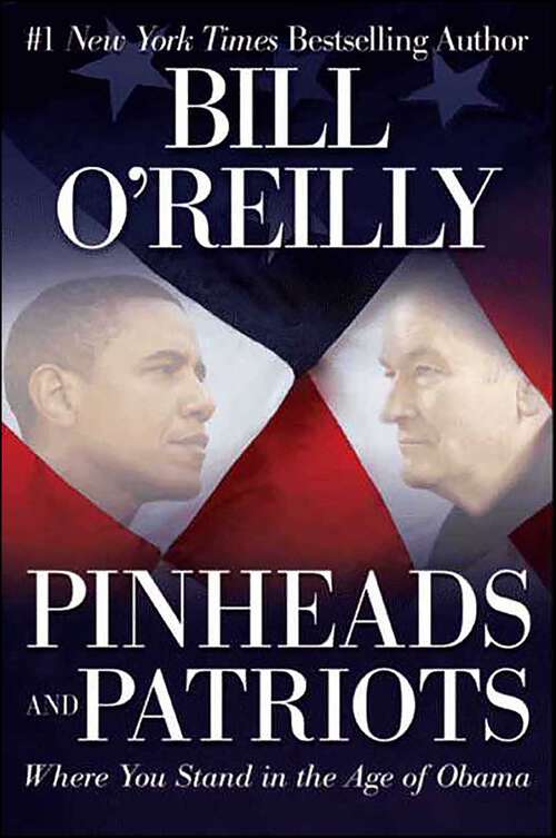Book cover of Pinheads and Patriots: Where You Stand in the Age of Obama