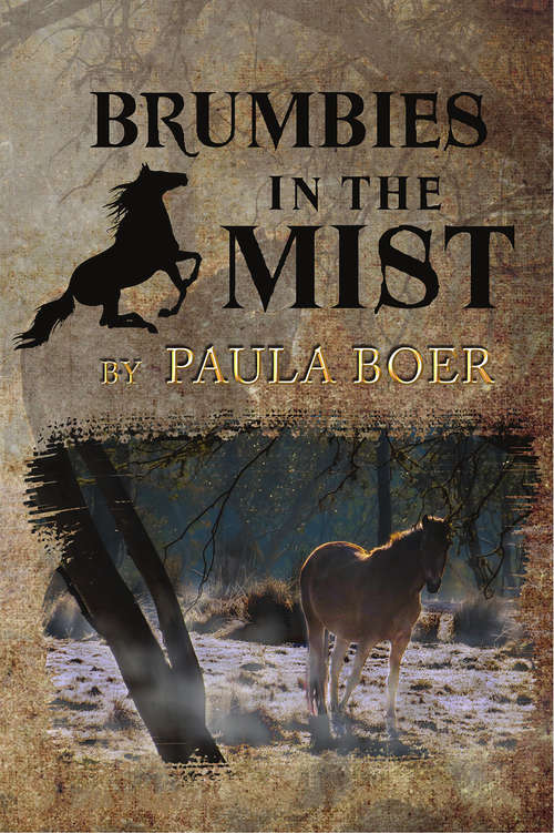 Book cover of Brumbies in the Mist (Brumbies #3)