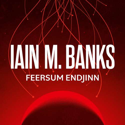Book cover of Feersum Endjinn