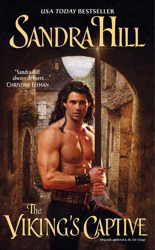 Book cover of The Viking's Captive (Viking I Series #6)
