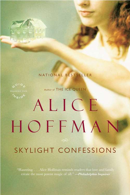 Book cover of Skylight Confessions