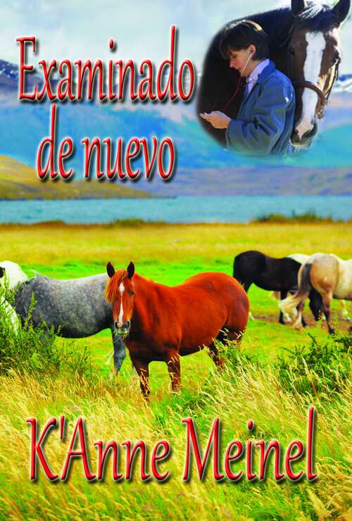 Book cover of Examinado de nuevo (Vetted #5)