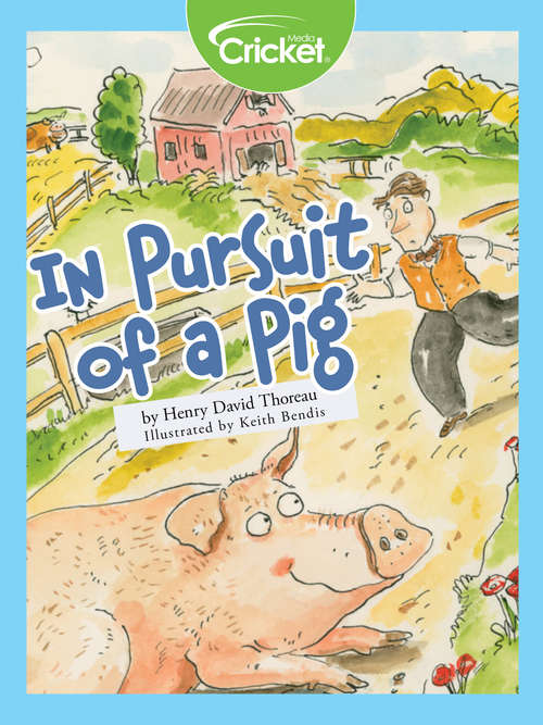 In Pursuit of a Pig