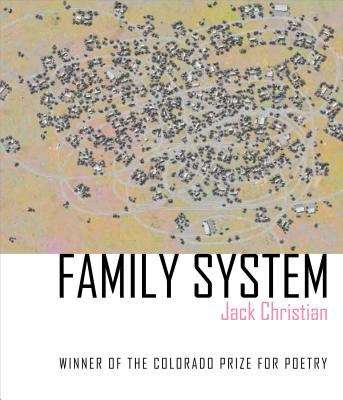 Book cover of Family System