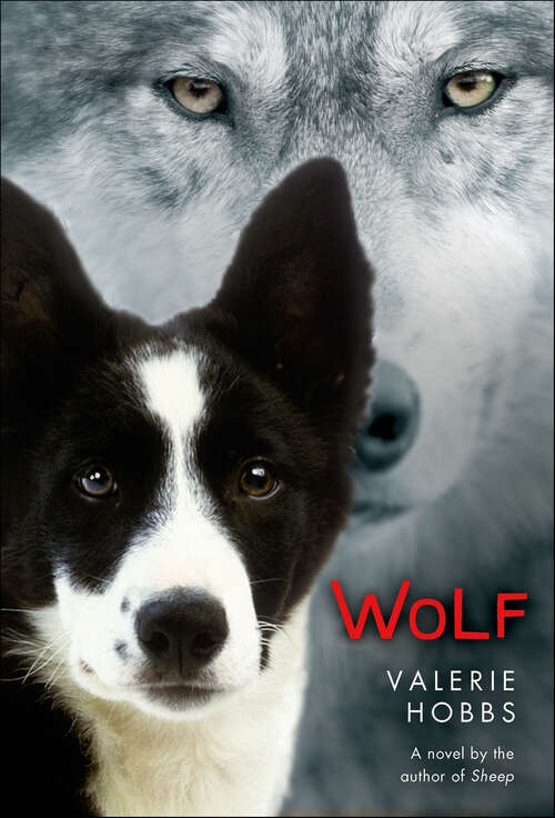 Book cover of Wolf