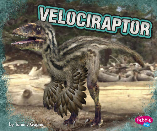 Book cover of Velociraptor: A 4d Book (Dinosaurs Ser.)