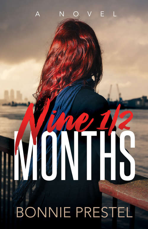 Book cover of Nine ½ Months: A Novel
