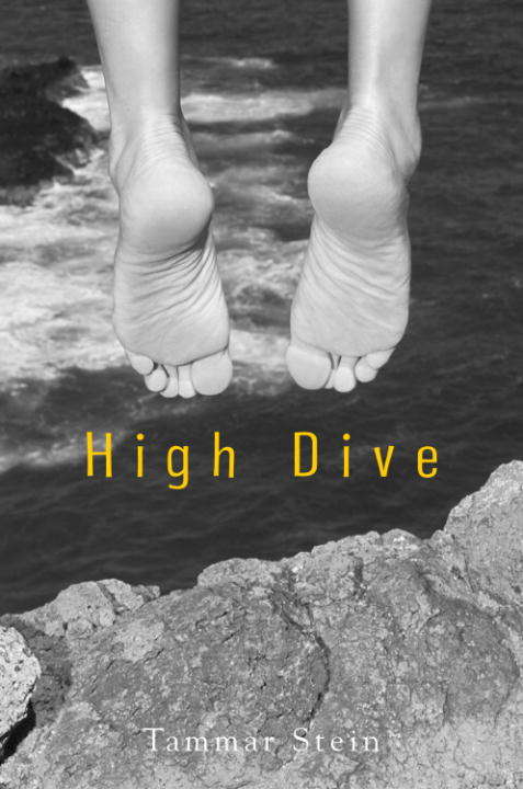 Book cover of High Dive