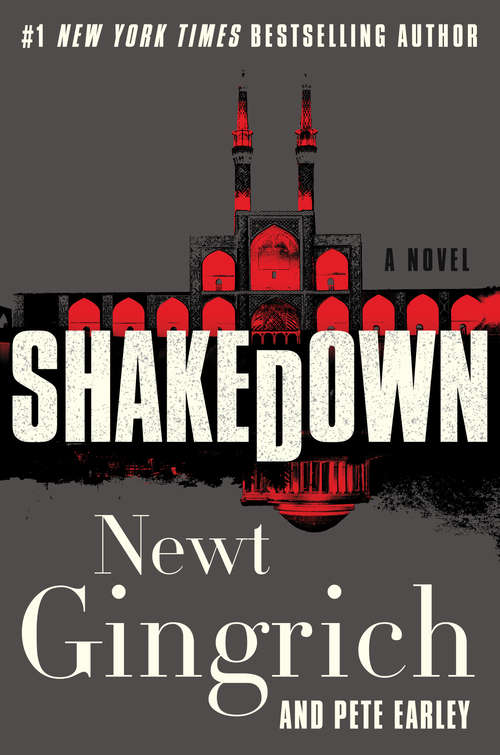 Shakedown: A Novel (Mayberry and Garrett #2)