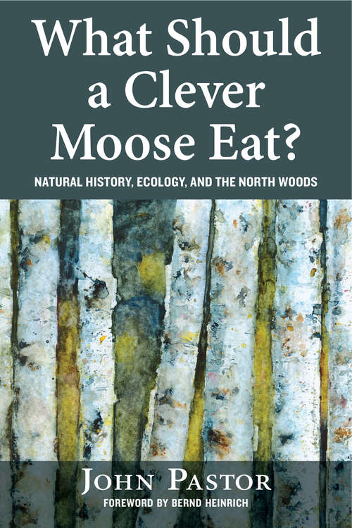 Book cover of What Should a Clever Moose Eat?: Natural History, Ecology, and the North Woods