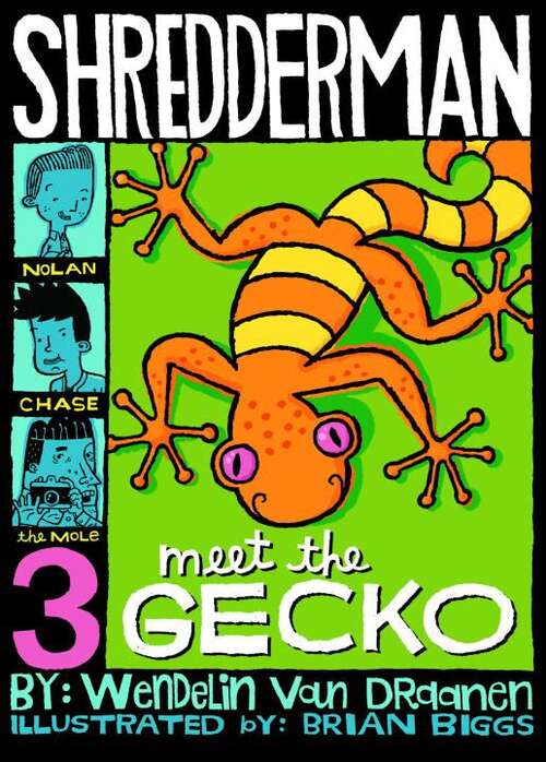 Book cover of Shredderman: Meet the Gecko (Shredderman #3)