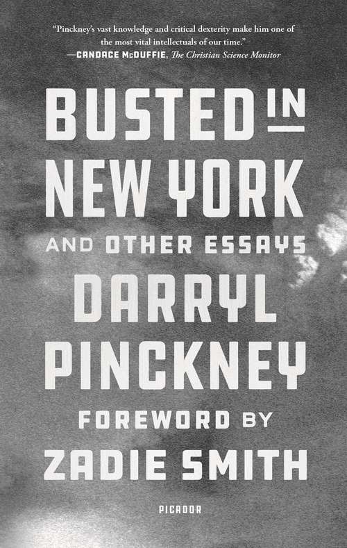 Book cover of Busted in New York and Other Essays