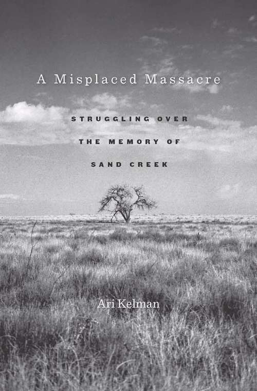 Book cover of A Misplaced Massacre