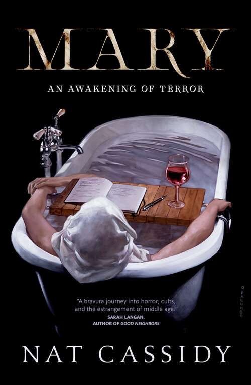 Book cover of Mary: An Awakening of Terror